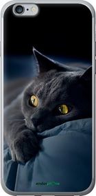 Чохол на iPhone 6s Plus Димчастий кіт "825t-91-2448"