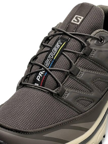 Кросівки чоловічі Salomon XT-6 Expanse Ltr GTX Coyote Black Beige  весна / осінь A4564 45 28,5 | Зображення 6