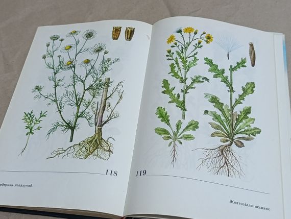 Атлас визначник бур'янів І. B. Веселовський, А. К. Лисенко, Ю. П. Манько. | Зображення 6