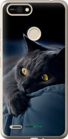 Чохол на Tecno Pop 2F B1F Димчастий кіт "825u-2391-2448"