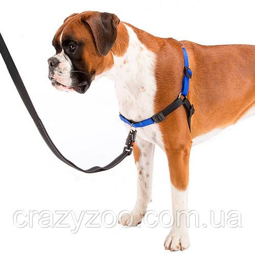 Шлея для собак Ferplast M-L Coach нейлонова синя A: 26-33 см B: 50-71 см 1.5 см 75556225 | Зображення 4