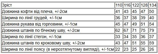 Костюм для хлопчика Носи своє 134 Сірий (p-16132-185638) | Зображення 4