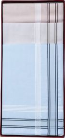 Чоловічі носові хустинки MARVIN de Luxe 111.90 SU2-07