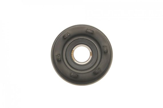 Ролик генератора Renault Clio III Megane II Scenic II 2.0 1.6V 1.9dCi 03- натяжной  65x30  331316170087