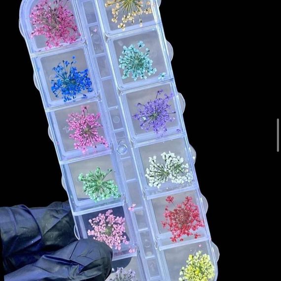 Набор сухоцветов для дизайна ногтей, 12шт (в органайзере)