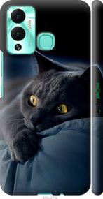 Чохол на Infinix Hot 12 Play Димчастий кіт "825m-2759-2448"