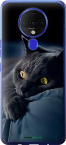 Чохол на Tecno Spark 6 KE7 Димчастий кіт "825u-2418-2448"