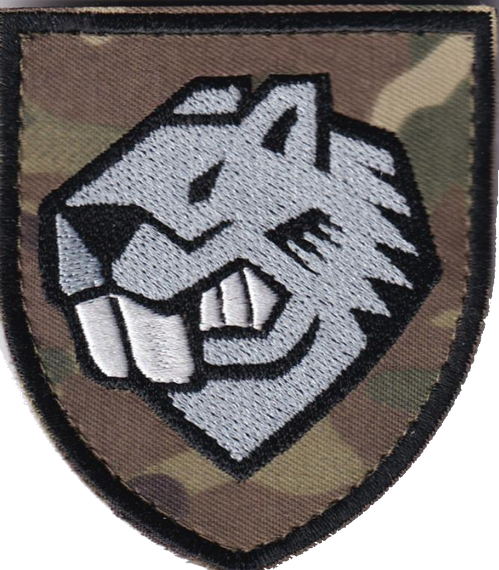 Шеврон 808 понтонно-мостовий полк / мультикам