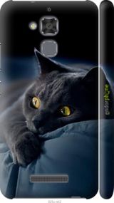 Чохол на Asus Zenfone 3 Max ZC520TL Димчастий кіт "825m-442-2448"