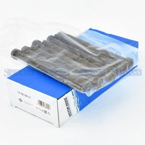Комплект болтов ГБЦ Audi A4/A5/A6/A8/Q7 / VW Passat/Phaeton/Touareg 2.5-3.0 TDI 00-,14-32196-01