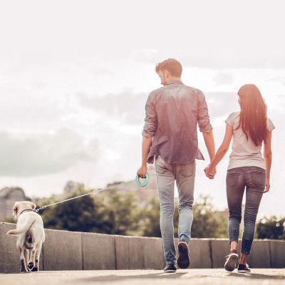 Поводок для собак WAUDOG R-leash светоотражающая лента XS-M до 40 кг 2.9 м салатовый (81275) | Зображення 2