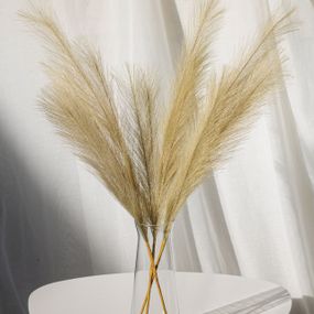 Пампас искусственный 75см 10шт/уп. Цвет: бежевый BM-96