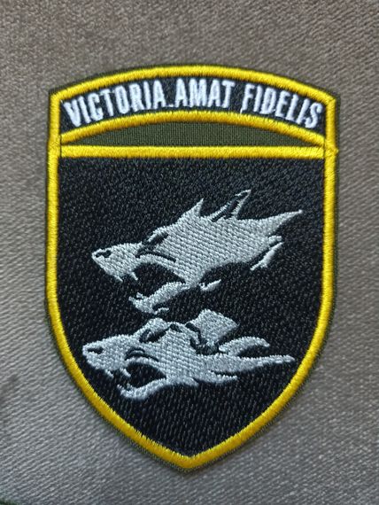 Шеврон 38 ОГРМП (кольоровий)