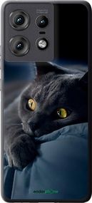 Чохол на Motorola Edge 50 Pro 5G Димчастий кіт "825u-3710-2448"