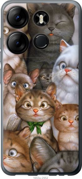 Чехол на Tecno Spark Go 2023 BF7 коты "1653u-2952-17620"