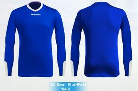 Футболка BestTeam SC-13020RB L/S голубая
