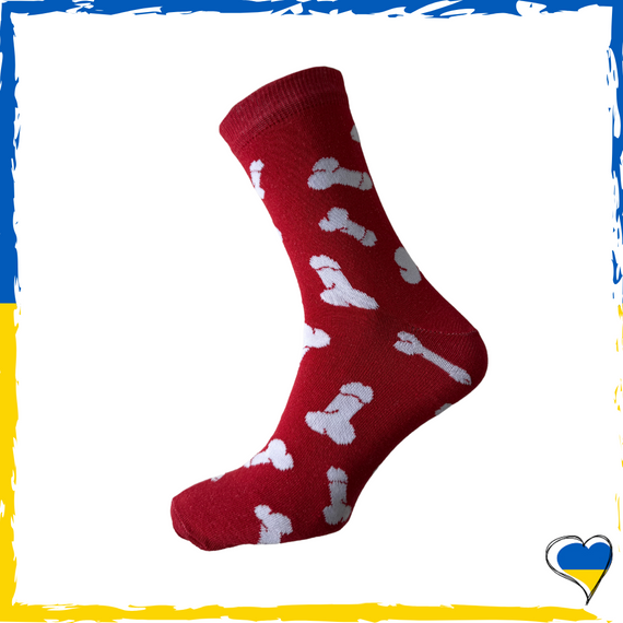 Шкарпетки чоловічі принт органи. Шкарпетки з приколами. Носки принт 40-45