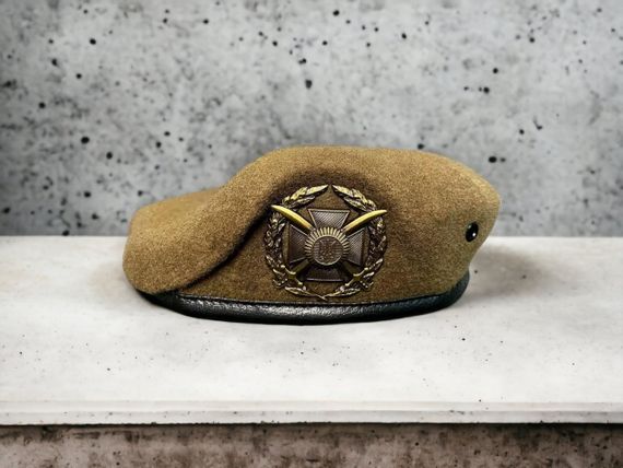 Берет Загальновійськовий ЗСУ крапля Степ | Зображення 2