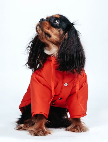 Парка Denim корал KP-18 | Зображення 1