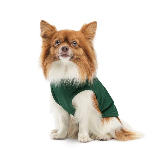 Борцівка Kale ТМ Pet Fashion для собак S зелена | Зображення 2