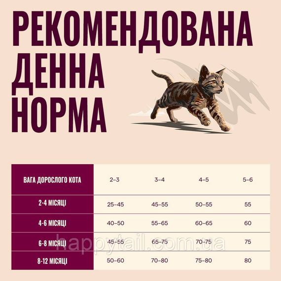 Сухий беззерновий корм для кошенят Carnilove True Fresh Beef Kitten зі свіжою яловичиною 400 г | Зображення 4