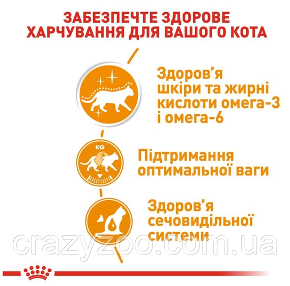 Консерва для дорослих котів Royal Canin Intense Beauty для підтримання краси шерсті 85 г 4071001 | Зображення 6