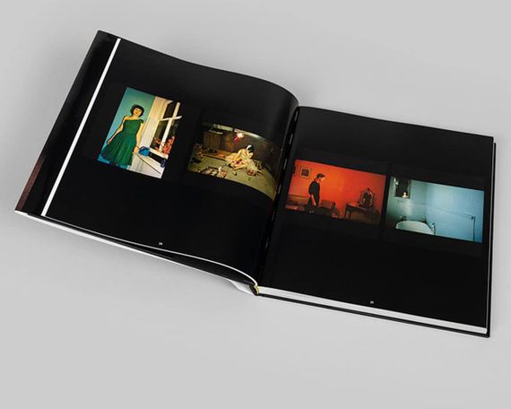 Книги з фотографії Нан Голден Nan Goldin: This Will Not End Well, Photographs альбоми відомих фотографів | Зображення 4