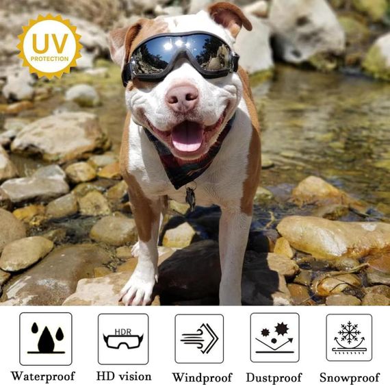 Захисні окуляри для собак з УФ-захистом, регульовані, вітрозахисні, водонепроникні, проти запотівання, для великих порід | Зображення 2