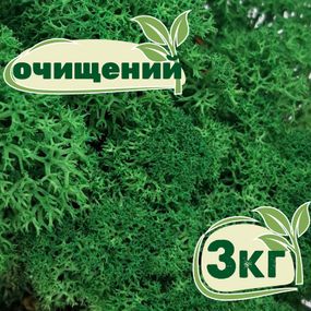 Очищений стабілізований мох ягель Зелений трав'яний темний 3 кг