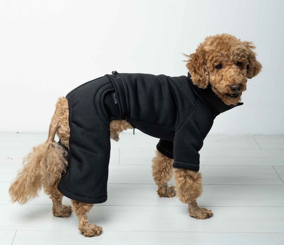 Костюм Party чорний D-198