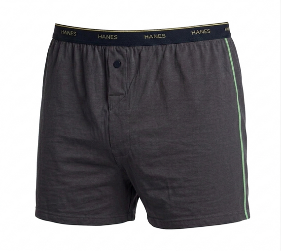 Набір чоловічих трусів сімейних-боксерів Hanes Comfort Flex 4 шт в наборі, розмір 2XL, сині, зелені, сірі, світло-сірі | Зображення 1