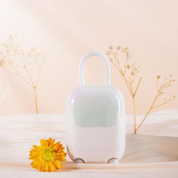 Виброяйцо и вакуумный стимулятор для клитора 2 в1 BeYourLover Magic Suitcase в зарядном кейсе, белый Sex Aura | Зображення 6