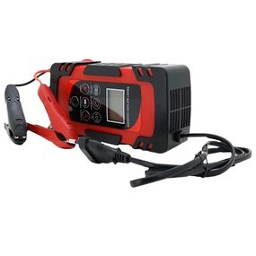 DEMUDA 12V/24V (MF,WET,AGM,GEL) Автоматичний ЗП для акумулятора
