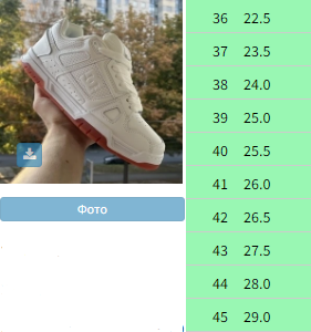 Кросівки DC Stag White , В'єтнам 6003 | Зображення 1