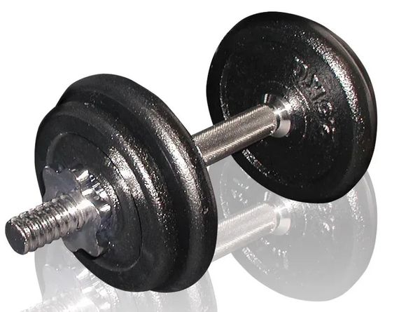 Гантель збірна Toorx 10 кг з кейсом (VAL-10DGN) | Зображення 1