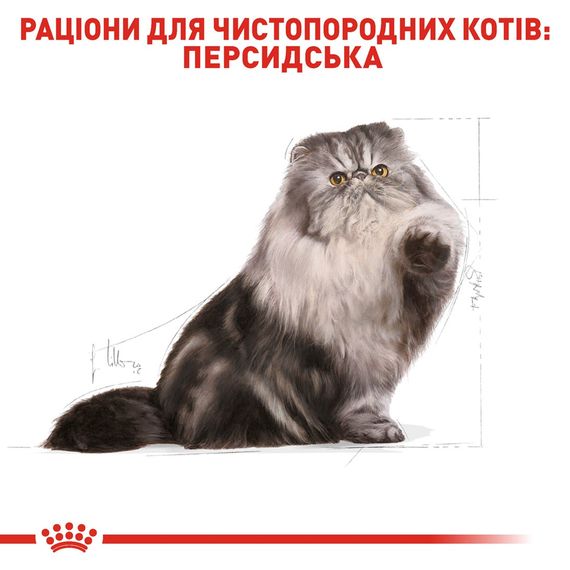 Royal Canin Persian сухой корм для персидских котов 4 кг | Зображення 2
