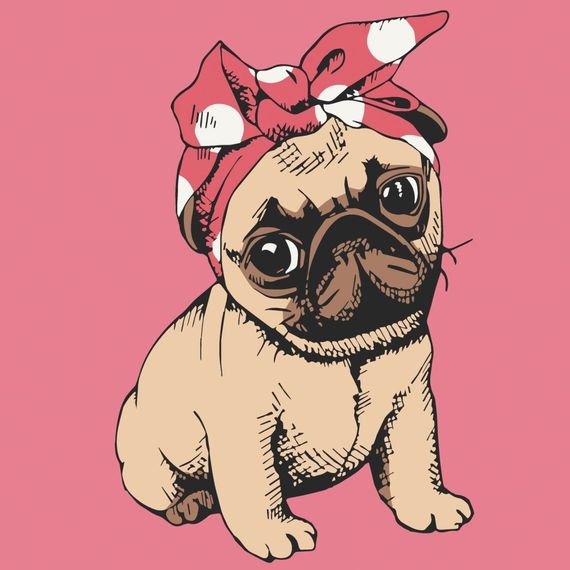 Картина за номерами "Мопсик" 15062-AC 30x30 см