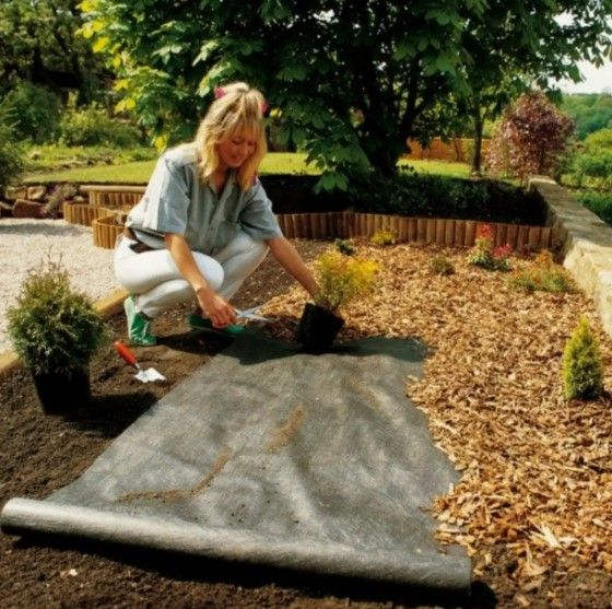 Агроволокно Shadow 50 г/м² 3,2 x 100 м АВЧР00005 | Зображення 1