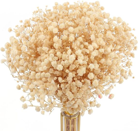 Букет із сухоцвітів гіпсоф Mehwag Baby's Breath, 100% натуральний, 17,2 дюйма, 3000+, кольору слонової
