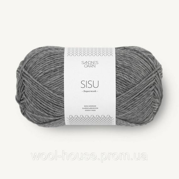 Шкарпеткова пряжа Sandnes Garn Sisu 50 г, 1053