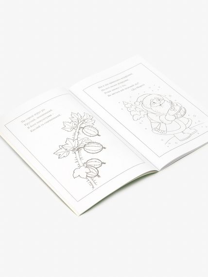 Книга розмальовок Вірші та загадки 12B-010 Різнокольоровий shop (4820168950094) | Зображення 1