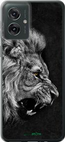 Чохол на Motorola Moto G55 Лев "1080u-3843-2448"
