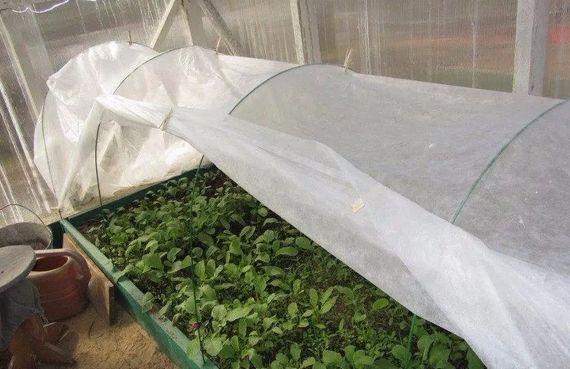 Полотно прошите до парника Shadow 42 г/м² 2.1 x 15 м ПОЛОТ00014 | Зображення 2