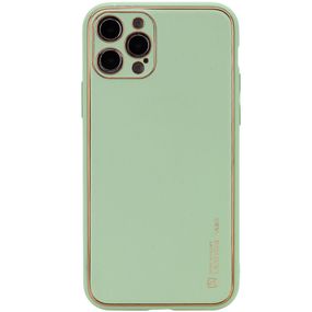 Шкіряний чохол Xshield для Apple iPhone 13 Pro (6.1") Зелений / Pistachio
