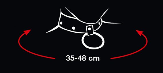 Ошейник с поводком - 2492016 Bad Kitty Collar And Leash sexstyle | Зображення 5