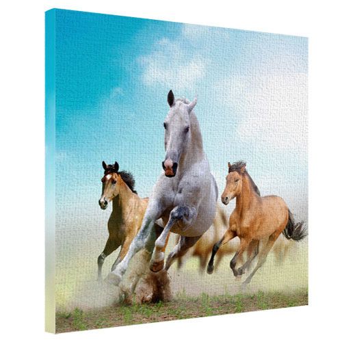 Картина на холсте Лошади бегут 65x65 см (H6565_ZVR001)