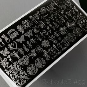 Пластина 099 для стемпінгу RichColor (12х6см)