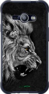 Чохол на Samsung Galaxy J1 Ace J110H Лев "1080t-215-2448"