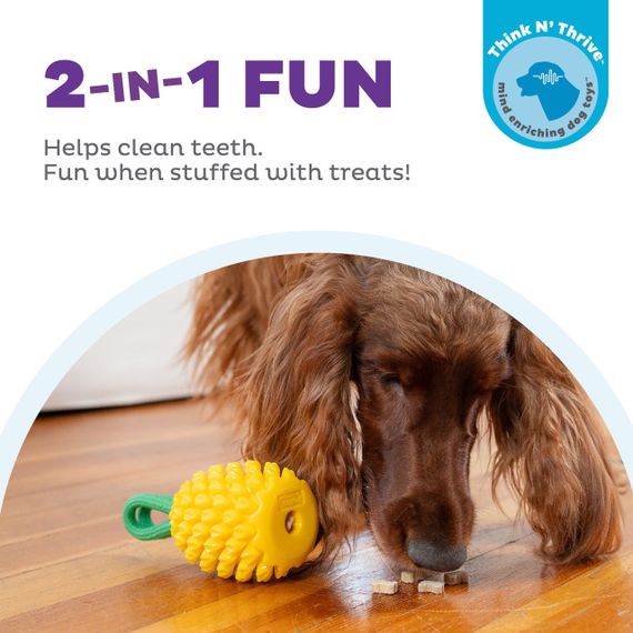 Іграшка для собак Outward Hound Dental Pineapple Dental Chew Toy, 16.5 см | Зображення 1