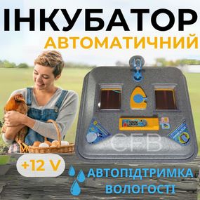 Автоматический инкубатор для куриных яиц Теплуша ПРО АКВА-88 12/50 ТАВ ТЕНовый с питанием 2в1 12В и 220В